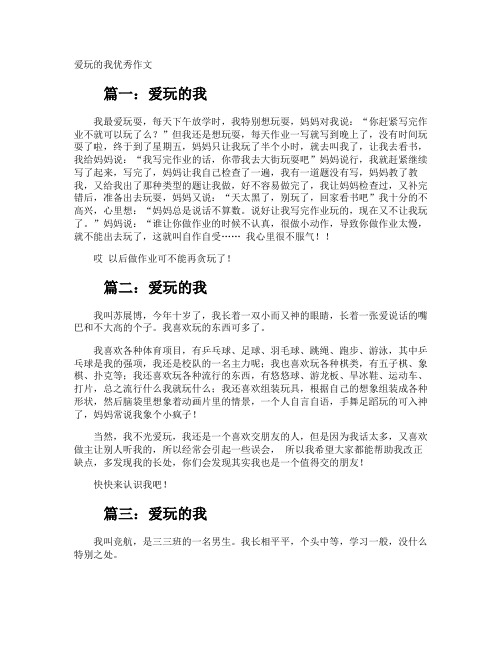 爱玩的我优秀作文