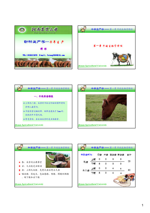 牛羊生产(12年下学期选修课)1—牛的生物学特性(1学时)