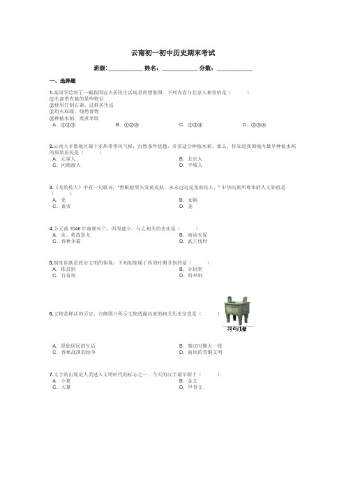 云南初一初中历史期末考试带答案解析
