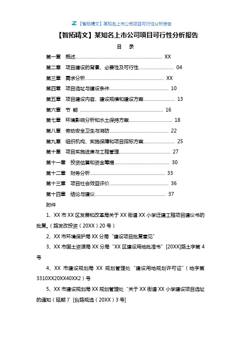 【智拓精文】某知名上市公司项目可行性分析报告