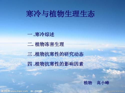 寒冷与生理生态