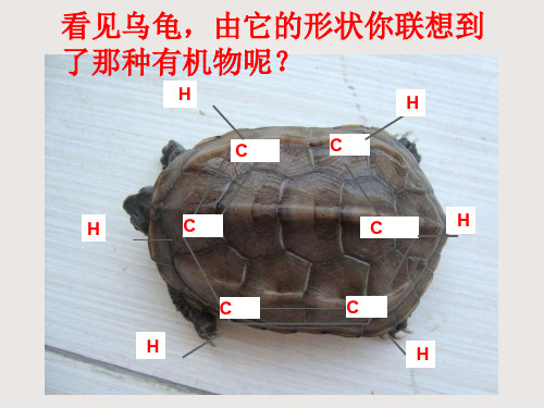 苯的结构与性质ppt课件