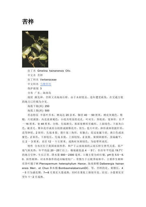 苦梓(海南石梓)