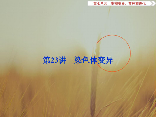 2018高考生物新课标一轮复习课件：第7单元 生物变异、育种和进化 第23讲