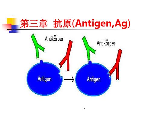 《医学免疫学》第三章 抗原