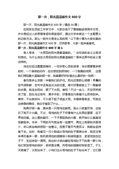 那一次，阳光真温暖作文600字（精选36篇）