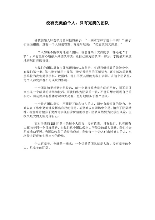 没有完美的个人,只有完美的团队