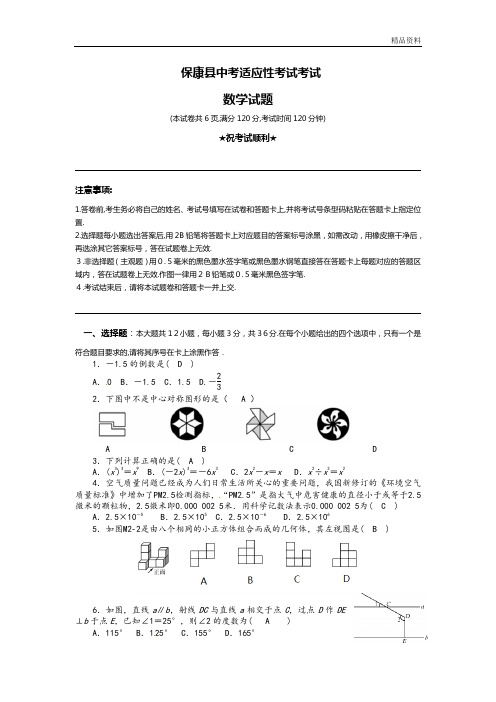 湖北省襄阳市保康县2020年年级适应性考试数学试题