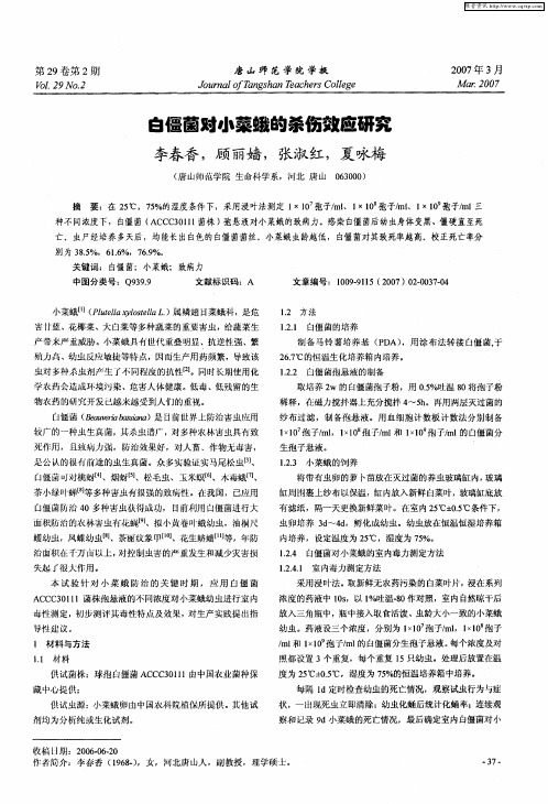 白僵菌对小菜蛾的杀伤效应研究