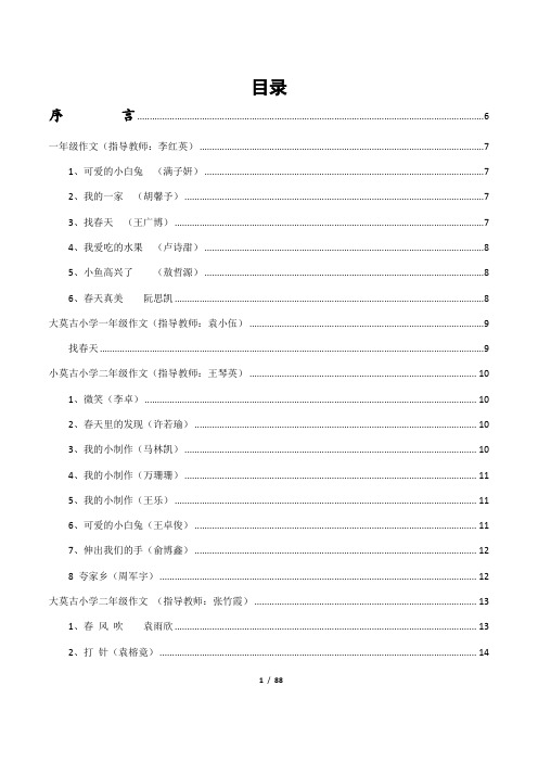 中心完小优秀作文集