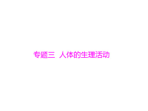 初中生物  中考九年级生物复习专题(6份打包) 人教版1精品课件