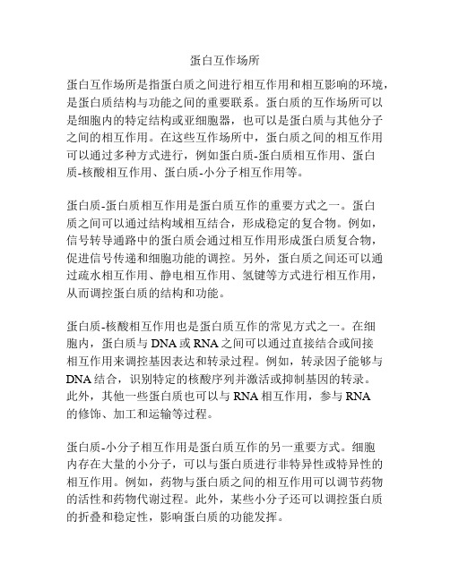 蛋白互作场所