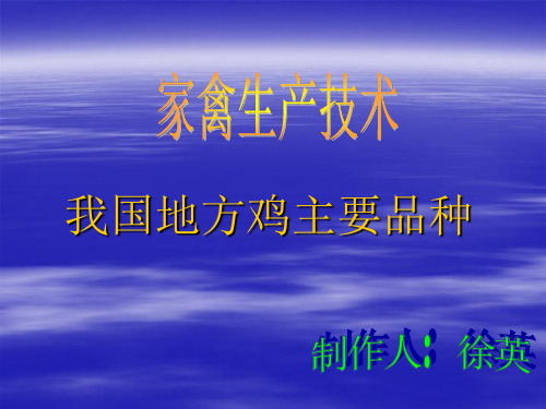 地方鸡的主要品种