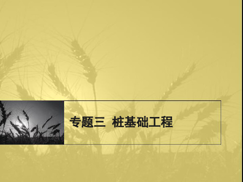 专题三桩基础工程