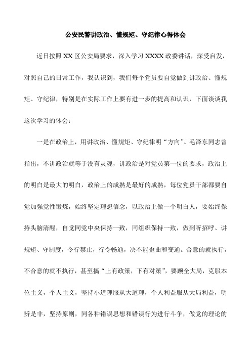 公安民警讲政治懂规矩守纪律心得体会