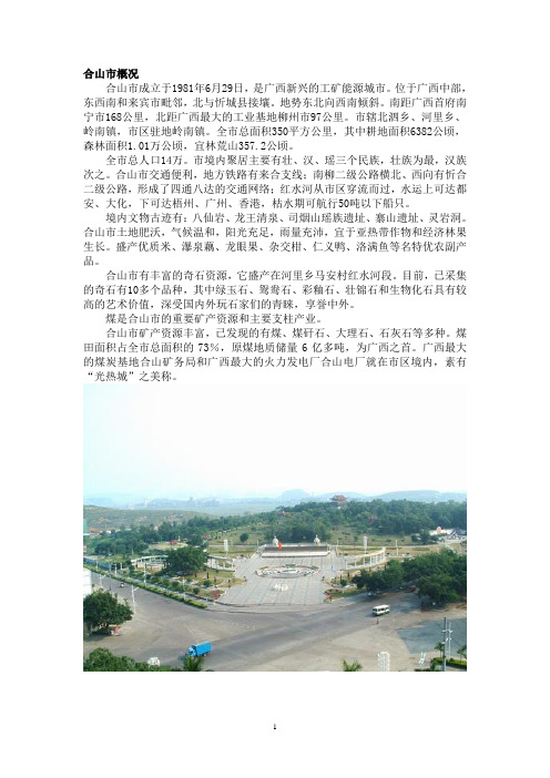合山旅游资源(新)