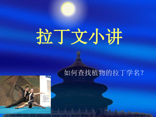 如何查找植物拉丁文