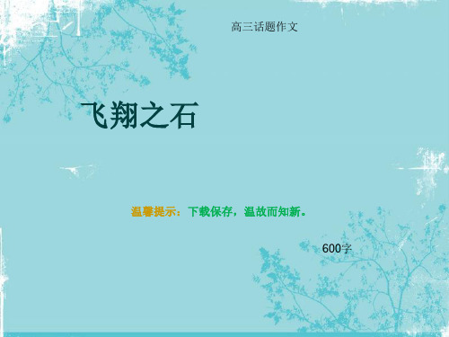 高三话题作文《飞翔之石》600字
