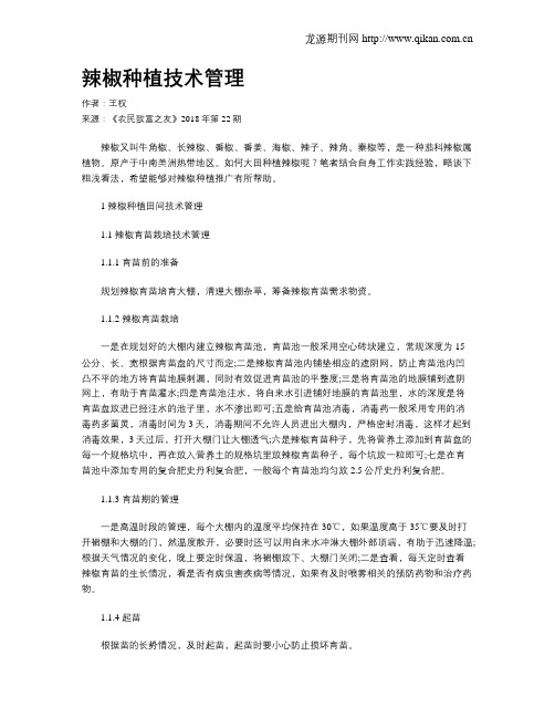 辣椒种植技术管理