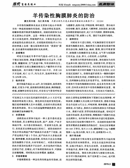 羊传染性胸膜肺炎的防治