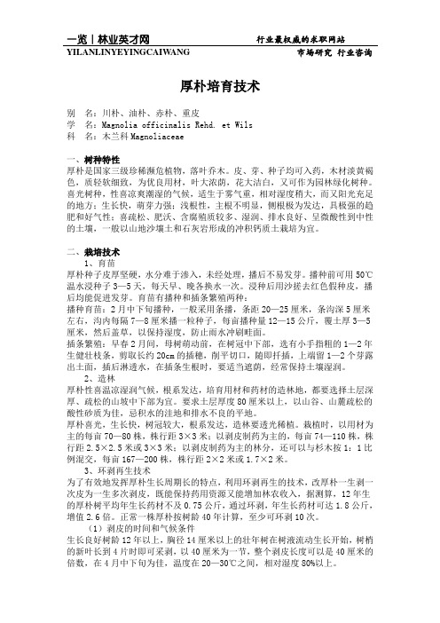 厚朴培育技术