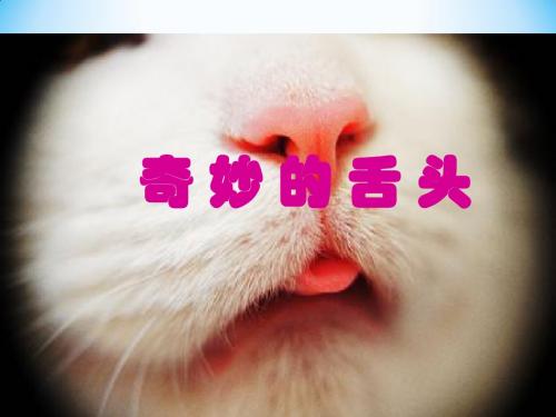 奇妙的舌头PPT课件