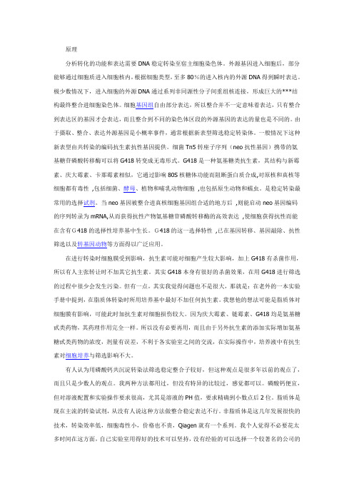 G418筛选稳定表达细胞系