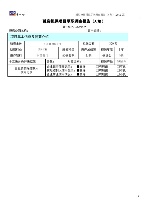 银行担保类项目尽职调查报告(A角)-中科智担保