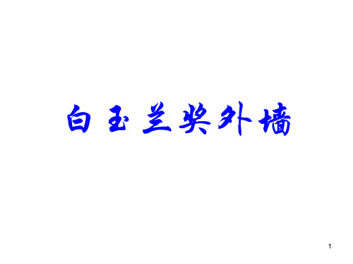 ”白玉兰奖“外墙做法照片