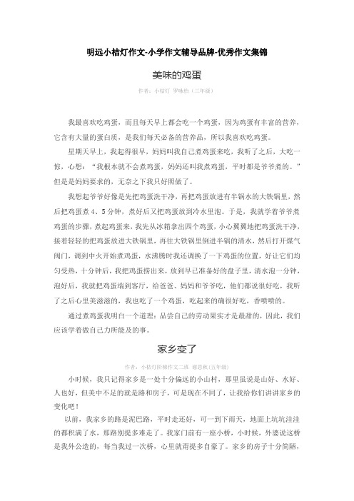 明远小桔灯作文-小学作文辅导品牌-优秀作文集锦