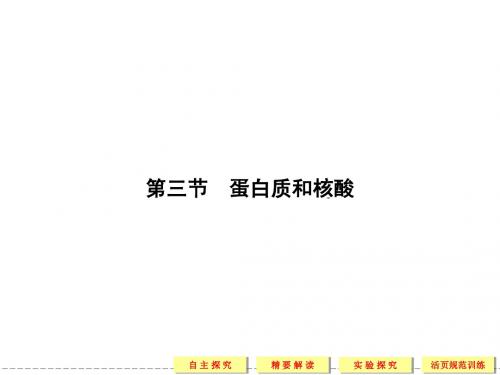 第四章第三节