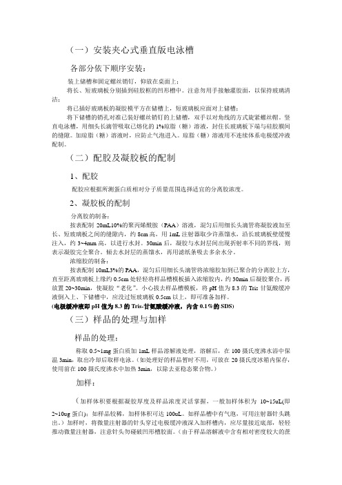 SDS-PAGE具体步骤