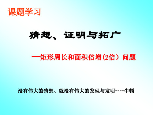 猜想、证明与拓广