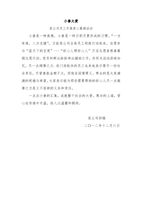 小善大爱