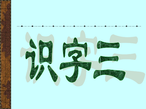小学语文二年级上册《识字3》PPT课件