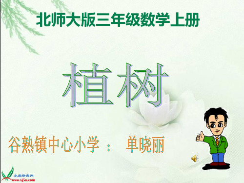 北师大版小学三年级数学上《植树》ppt