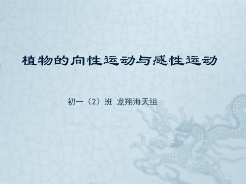 植物的向性运动与感性运动ppt课件