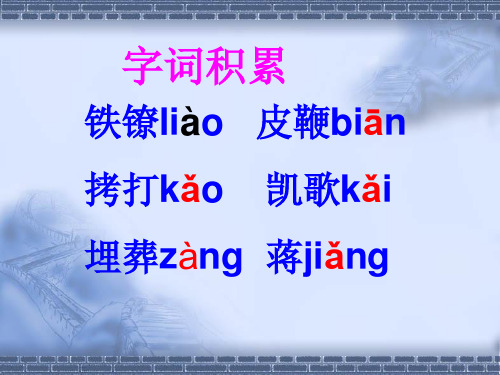 《我的自白书》ppt课件