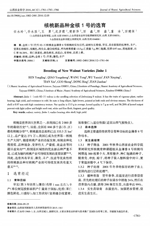 核桃新品种金核1号的选育