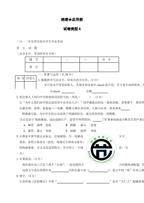 山东省东营市中考语文试题