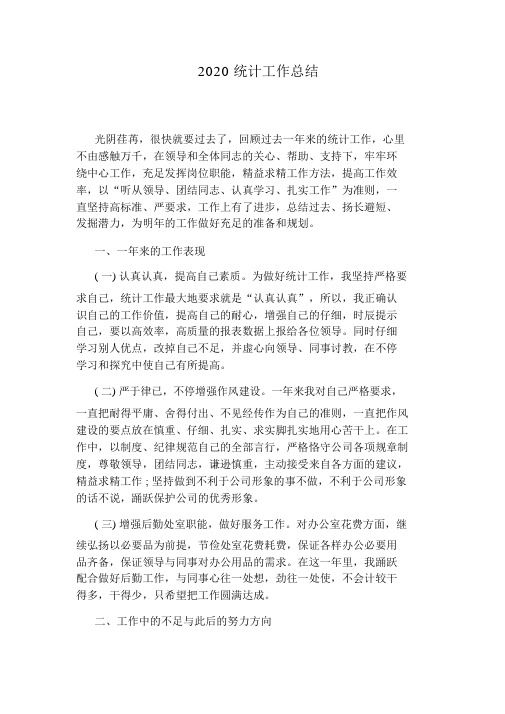 2020统计工作总结