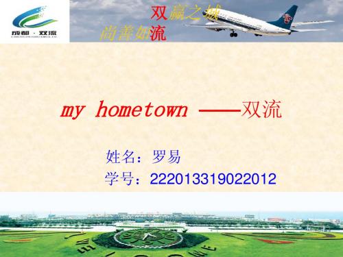 双赢之都,尚善如流 双流宣传