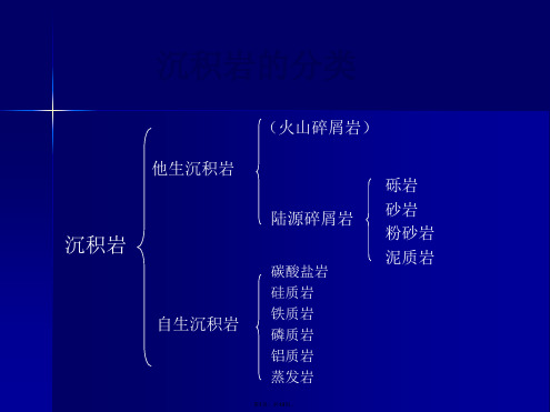 沉积岩实习二(共19张PPT)