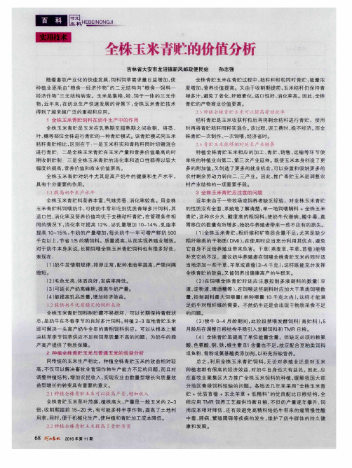 全株玉米青贮的价值分析