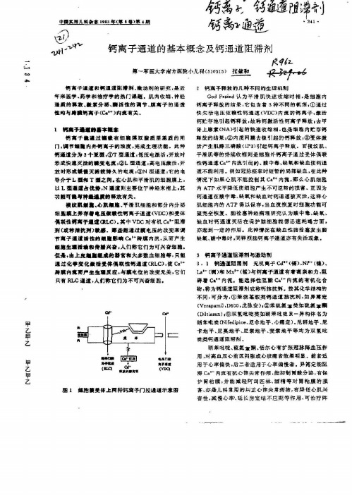 钙离子通道的基本概念及阻滞剂