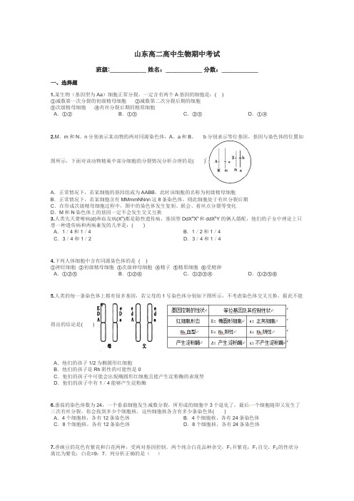 山东高二高中生物期中考试带答案解析
