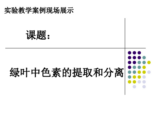 绿叶中色素的提取和分离 高中生物必修一教学课件PPT 人教版
