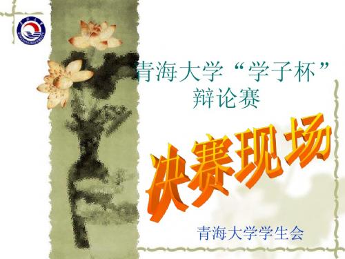 辩论赛决赛现场播放ppt