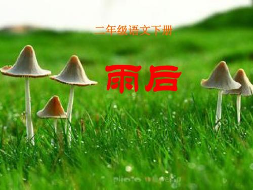 苏教版小学二年级语文下册《雨后》课件.ppt