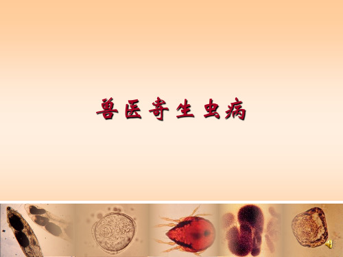 动物医学课件：禽寄生虫病